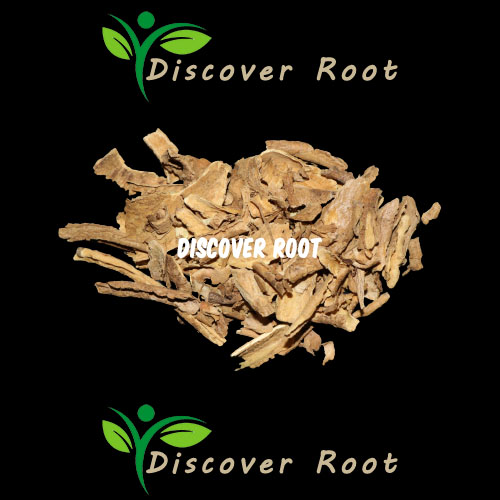 Discover Root Rootbark